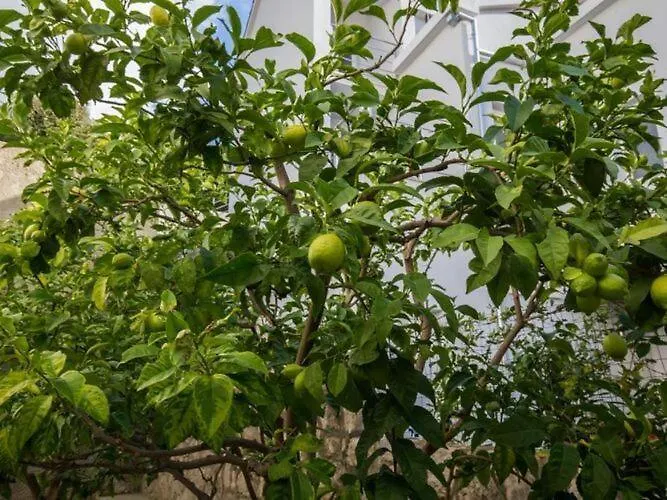 Enzian - Comfort Two Bedroom With Balcony And Sea View