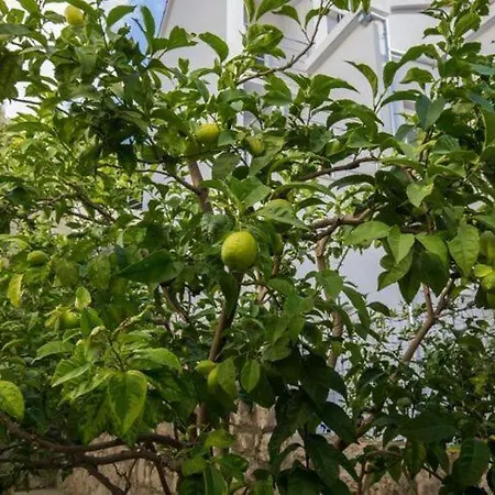 Enzian - Comfort Two Bedroom With Balcony And Sea View